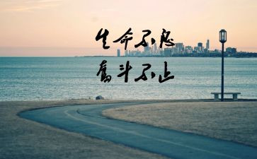 小学生关于积极向上演讲稿7篇