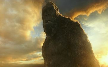 金刚传的观后感最新7篇