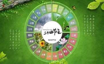 24节气的活动方案优质6篇