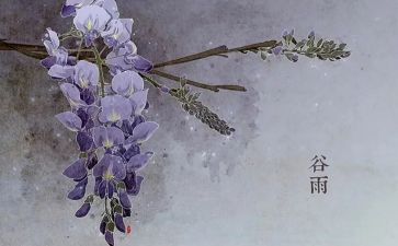 节气大班教案8篇