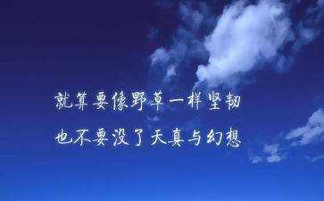 精神科护士年终总结个人总结7篇