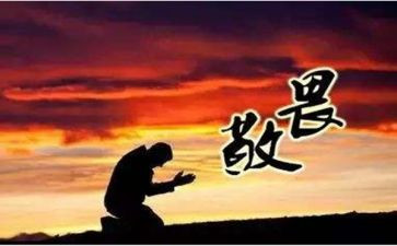 对生命的敬畏读后感5篇