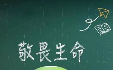 有关于敬畏的作文8篇