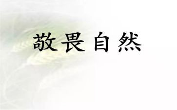 知敬畏演讲稿5篇