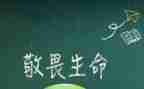 有关于敬畏的作文8篇