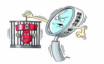 公司经责审计工作总结7篇