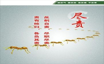 尽责心得体会范文5篇