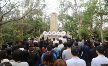 清明祭扫活动方案优秀8篇