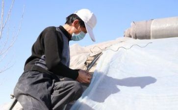 技术培训工作总结8篇
