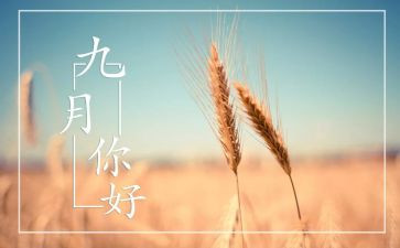 2024幼儿园大班九月工作总结5篇