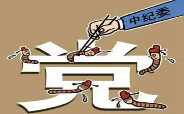 区纪委个人年度总结8篇