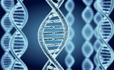 传承红色基因争做强国少年读后感800字8篇