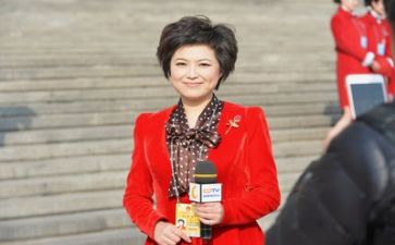 2024年新闻记者个人总结5篇