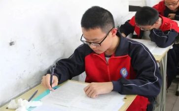 中考后的我作文7篇