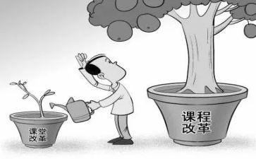 312课改的心得体会模板5篇