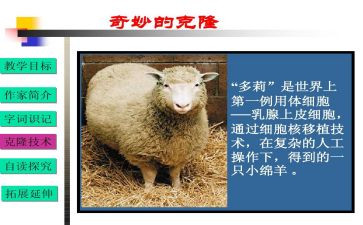 关于克隆的作文7篇