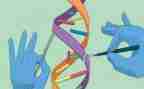 科学大班教案参考8篇