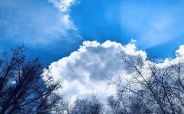 空气的调查报告优质5篇