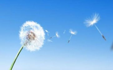 空气的调查报告范文6篇