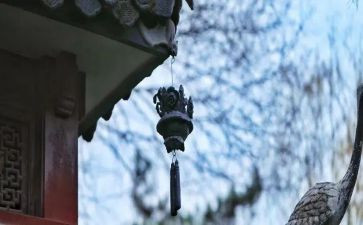 读书苦读后感7篇
