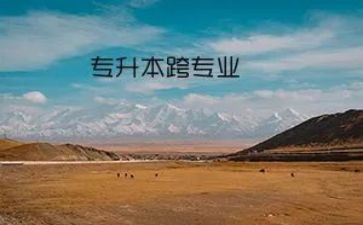跨专业培训总结6篇