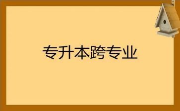 跨专业工作总结模板6篇