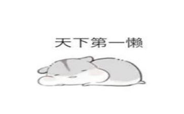 我真懒的作文模板6篇