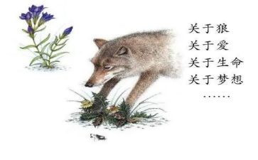 读狼王梦有感作文优质7篇