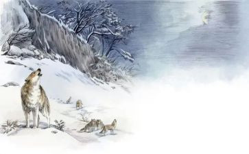 读狼王梦有感作文6篇