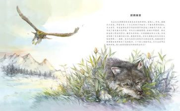 写《狼王梦》的读后感最新7篇