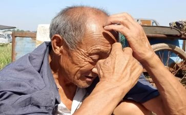 老人元旦活动方案7篇