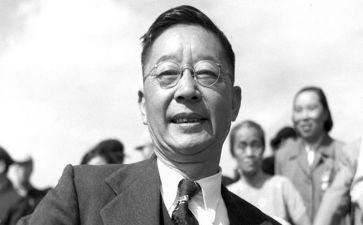 老舍的《猫》读后感优质7篇