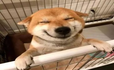 幼儿园音乐课心得体会8篇