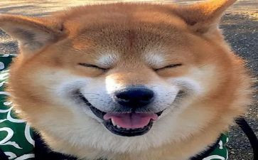 游乐场月工作总结6篇