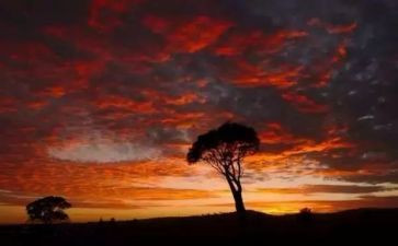 语言魅力演讲稿8篇