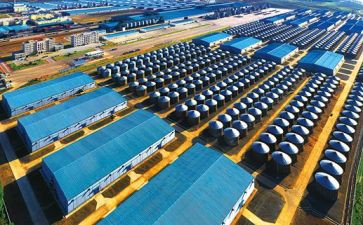 2024年粮库工作总结范文6篇