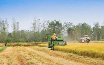 关于粮食教案6篇