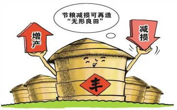 粮食节活动策划通用6篇