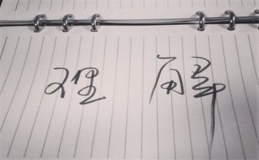 家的理解和感悟作文5篇