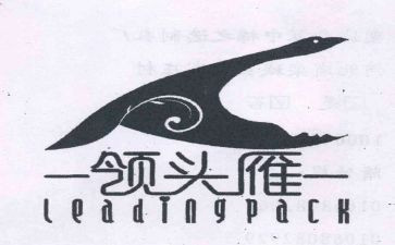 领头雁培训心得体会5篇