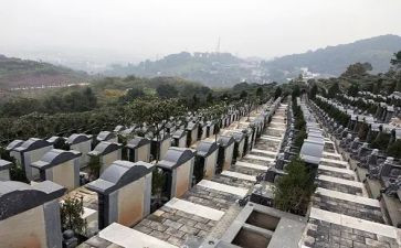 参观杨?公陵园心得体会5篇