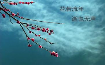 物流年终报告工作总结6篇