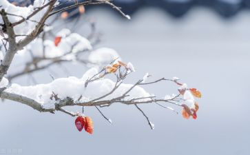 物流年终述职报告6篇