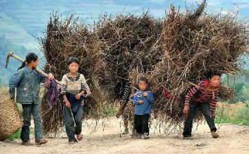 关爱留守活动方案8篇