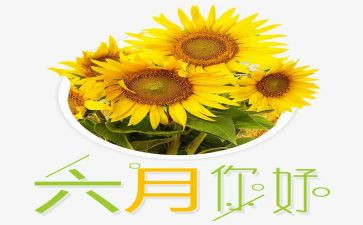 幼儿园中班六月工作总结7篇