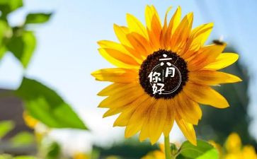 小学六月份工作总结7篇