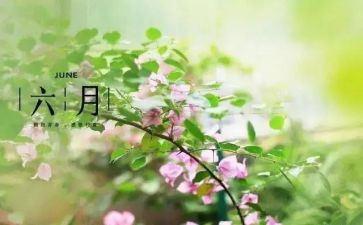 六月份个人总结8篇