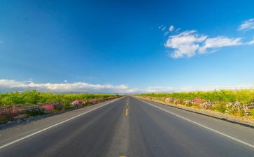 路是星的痕读后感参考5篇