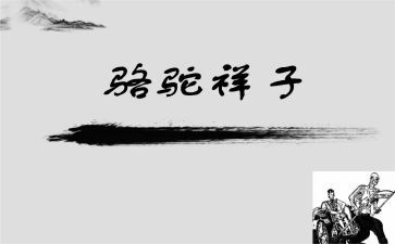 骆驼祥子16的读后感最新6篇