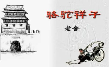 骆驼祥子16的读后感模板5篇
